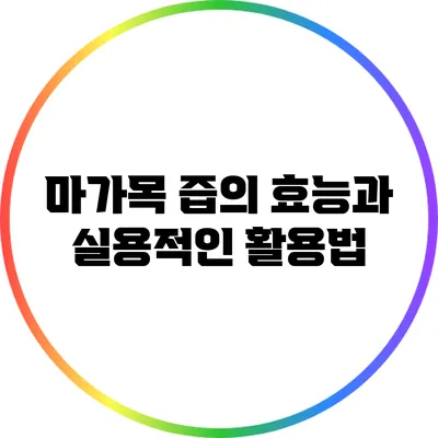 마가목 즙의 효능과 실용적인 활용법