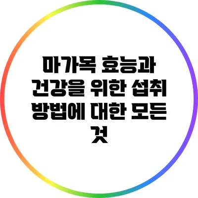 마가목 효능과 건강을 위한 섭취 방법에 대한 모든 것