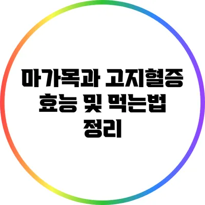 마가목과 고지혈증: 효능 및 먹는법 정리