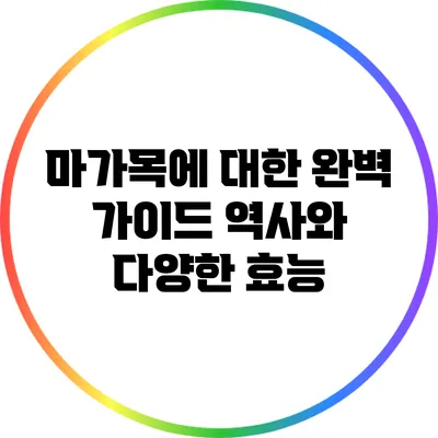 마가목에 대한 완벽 가이드: 역사와 다양한 효능