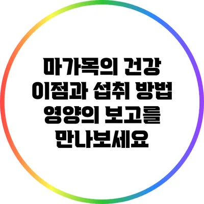 마가목의 건강 이점과 섭취 방법: 영양의 보고를 만나보세요