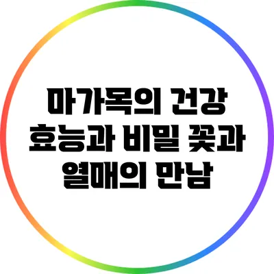 마가목의 건강 효능과 비밀: 꽃과 열매의 만남