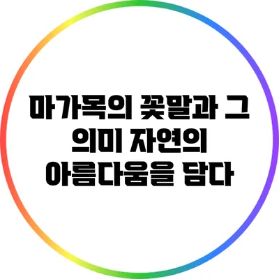 마가목의 꽃말과 그 의미: 자연의 아름다움을 담다