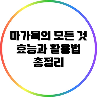 마가목의 모든 것: 효능과 활용법 총정리