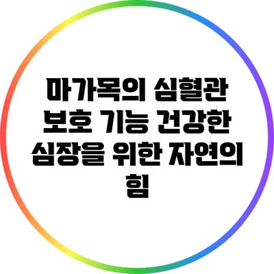마가목의 심혈관 보호 기능: 건강한 심장을 위한 자연의 힘