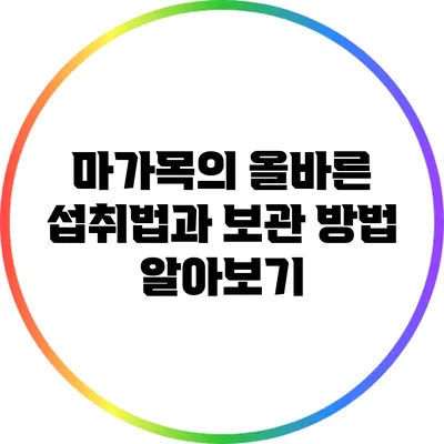 마가목의 올바른 섭취법과 보관 방법 알아보기