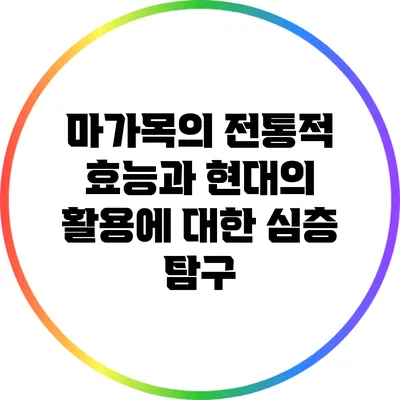 마가목의 전통적 효능과 현대의 활용에 대한 심층 탐구