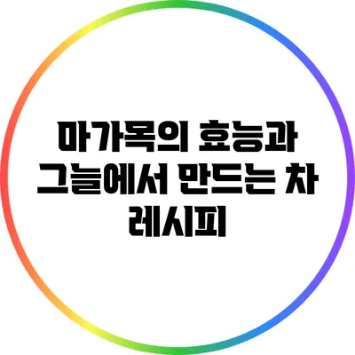 마가목의 효능과 그늘에서 만드는 차 레시피