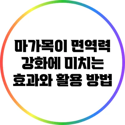 마가목이 면역력 강화에 미치는 효과와 활용 방법
