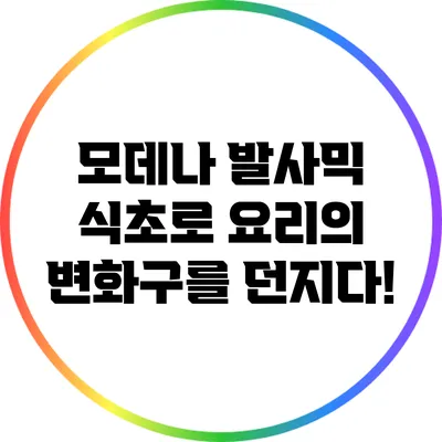 모데나 발사믹 식초로 요리의 변화구를 던지다!