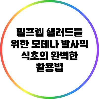 밀프렙 샐러드를 위한 모데나 발사믹 식초의 완벽한 활용법