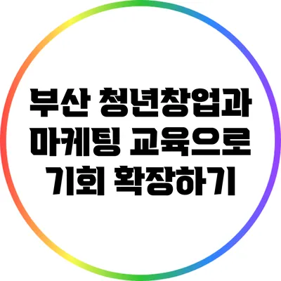 부산 청년창업과 마케팅 교육으로 기회 확장하기