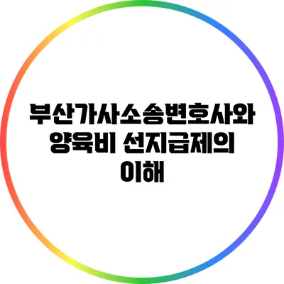 부산가사소송변호사와 양육비 선지급제의 이해