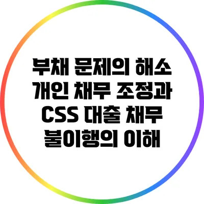 부채 문제의 해소: 개인 채무 조정과 CSS 대출 채무 불이행의 이해