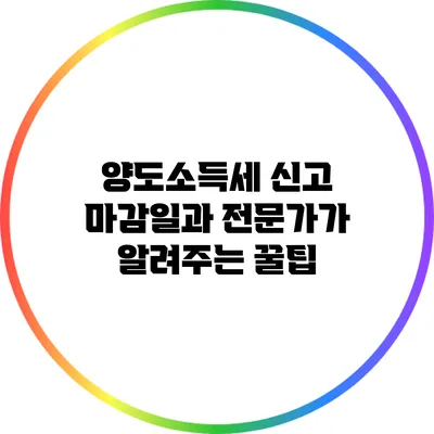 양도소득세 신고 마감일과 전문가가 알려주는 꿀팁