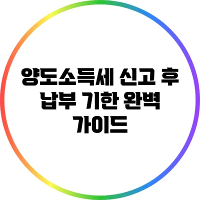 양도소득세 신고 후 납부 기한 완벽 가이드