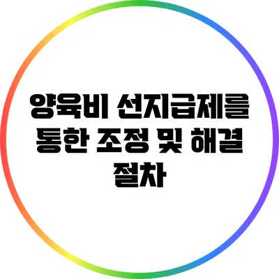 양육비 선지급제를 통한 조정 및 해결 절차