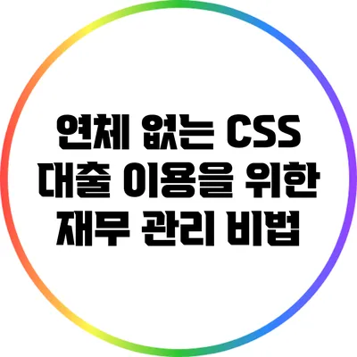 연체 없는 CSS 대출 이용을 위한 재무 관리 비법