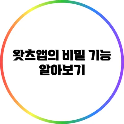 왓츠앱의 비밀 기능 알아보기
