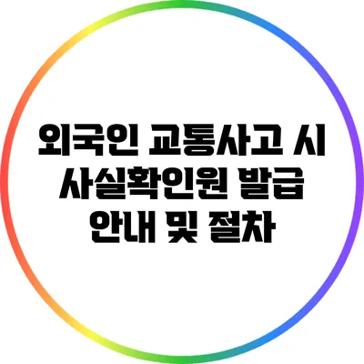 외국인 교통사고 시 사실확인원 발급 안내 및 절차