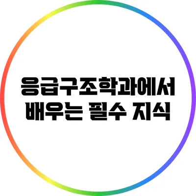 응급구조학과에서 배우는 필수 지식