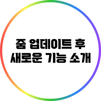줌 업데이트 후 새로운 기능 소개