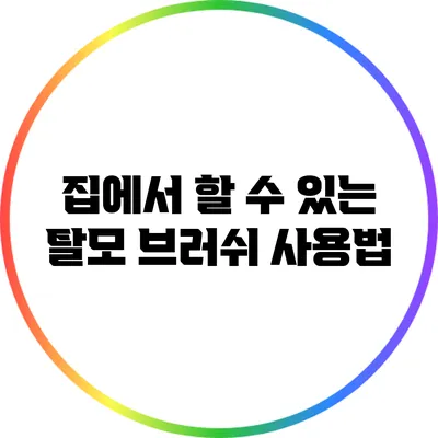 집에서 할 수 있는 탈모 브러쉬 사용법