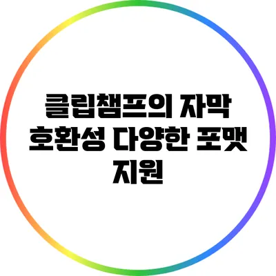 클립챔프의 자막 호환성 다양한 포맷 지원