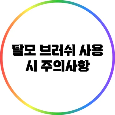 탈모 브러쉬 사용 시 주의사항
