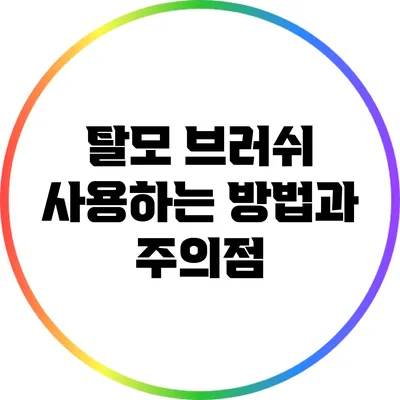 탈모 브러쉬 사용하는 방법과 주의점
