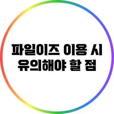 파일이즈 이용 시 유의해야 할 점