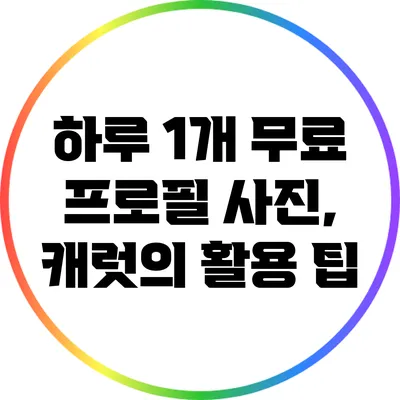 하루 1개 무료 프로필 사진, 캐럿의 활용 팁
