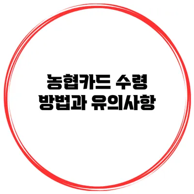 농협카드 수령 방법과 유의사항