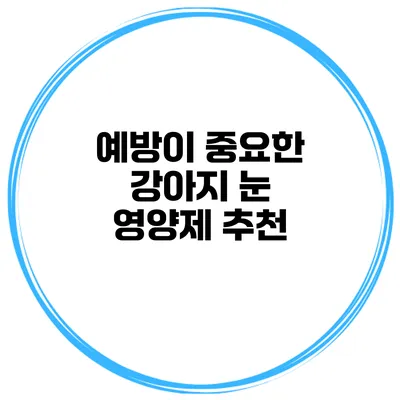 예방이 중요한 강아지 눈 영양제 추천
