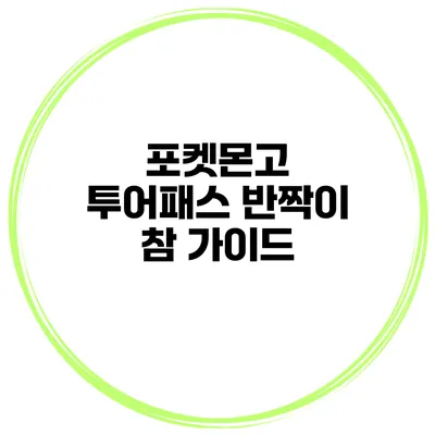 포켓몬고 투어패스 반짝이 참 가이드