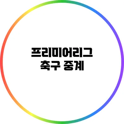 프리미어리그 축구 중계