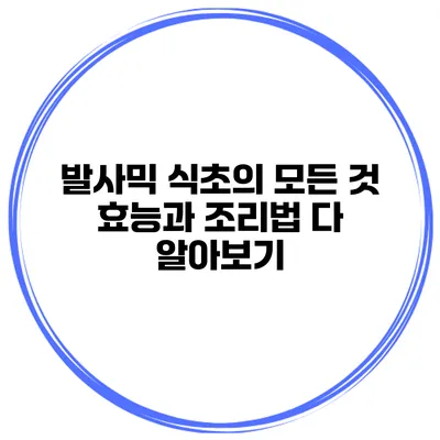 발사믹 식초의 모든 것: 효능과 조리법 다 알아보기